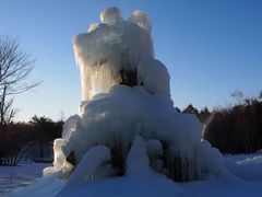 西湖野鳥の森公園の口コミ一覧 じゃらんnet
