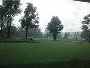 ܂Ȃ̃S[fNXJg[Nu̓eʐ^1