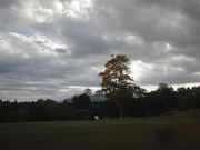 ܂Ȃ̃TU[hJg[Nu̓eʐ^1