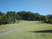 ܂Ȃ̕xmJg[Nu̓eʐ^1