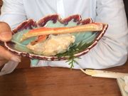 ₩̂ɓy Vh{X̓eʐ^1