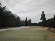 ܂Ȃ̃U@iViJg[y@t̓eʐ^1