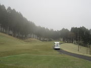 ܂Ȃ̏\؃Jg[Nu̓eʐ^1