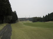 ܂Ȃ̏\؃Jg[Nu̓eʐ^2