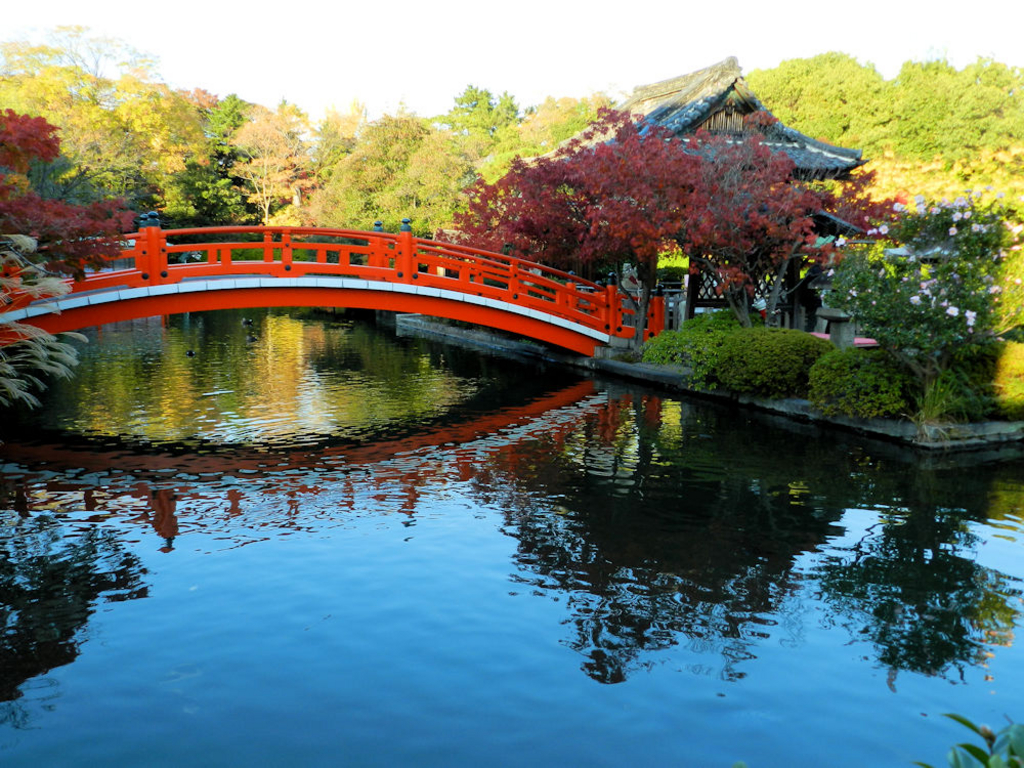 京都のその他神社 神宮 寺院ランキングtop10 5ページ目 じゃらんnet