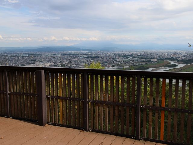 �i�ϔ��Q_���R�W�]��