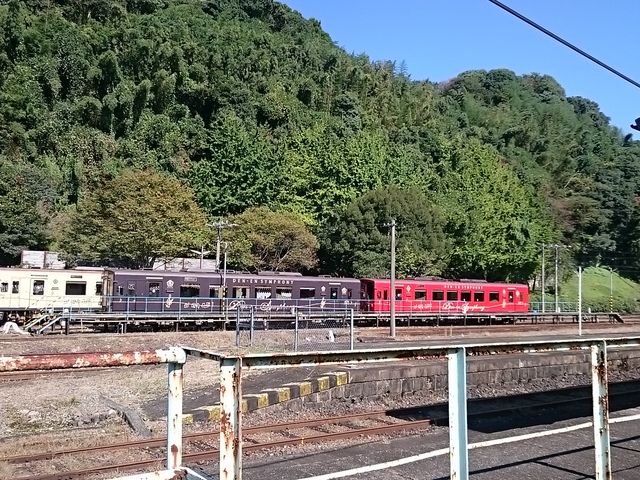 �c���V���t�H�j�[_���ܐ�S��