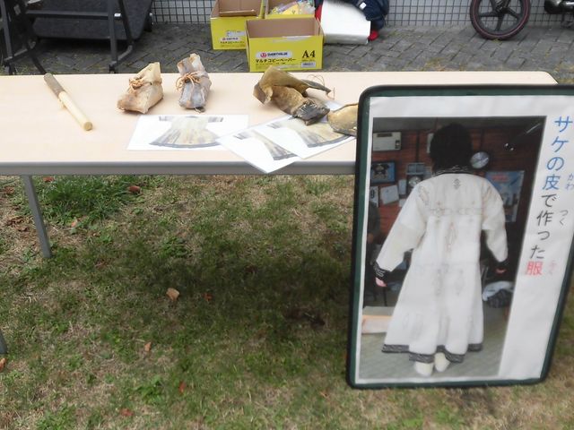 �A_�T�P�̂ӂ邳�Ɛ�ΐ�����