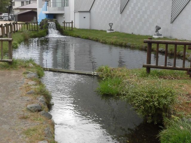 �B_�T�P�̂ӂ邳�Ɛ�ΐ�����