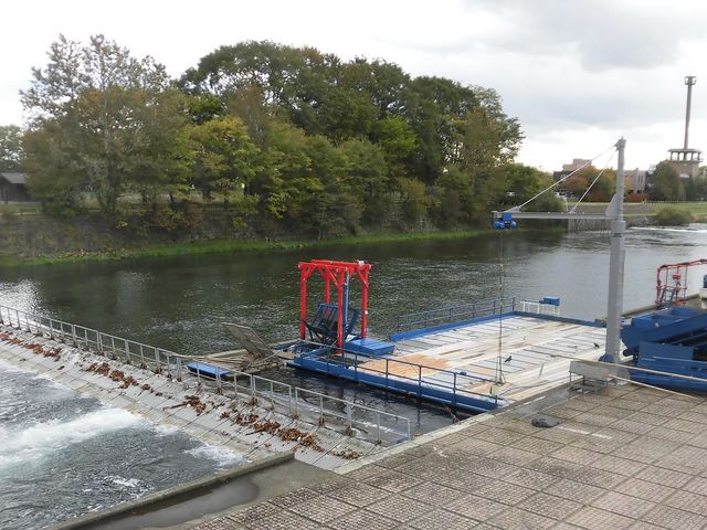 �C_�T�P�̂ӂ邳�Ɛ�ΐ�����