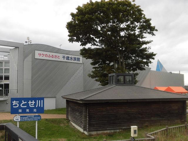 �D_�T�P�̂ӂ邳�Ɛ�ΐ�����