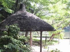 �܂��ǂ���̊ۉ��i���ΐ��y���j�ւ̓��e�ʐ^1