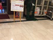 }Jrestaurant cafe  Little Monster̓eʐ^1