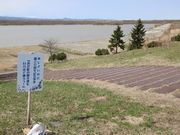 񂳂̍IAVXp[N̓eʐ^3