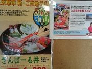 Xkv̓̉w Vρ[̓eʐ^1