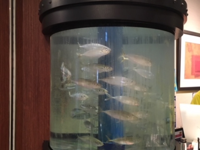 ɂ悢łuv_G qwЂ܂vUX