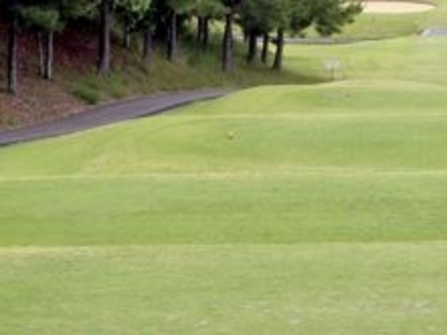 tXs[ȟF{NESty̓eʐ^1