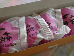 Ȃ䂫̕ ۃrXւ̓eʐ^1