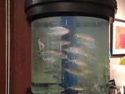 artneko̎G qwЂ܂vUX̓eʐ^2