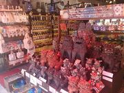 kijimunař quX̓eʐ^1