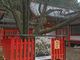 まーちゃんさんの金桜神社の投稿写真3