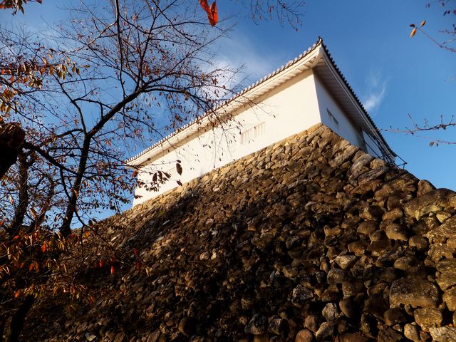 �����̎p���c���Ă���̂́A�����E�ƓV���Ί_�̂݁B_�T�R���