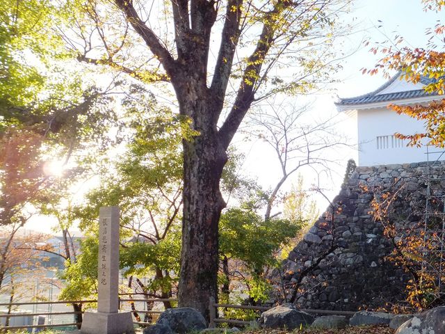 �����E�̏H�̗[���_�T�R���