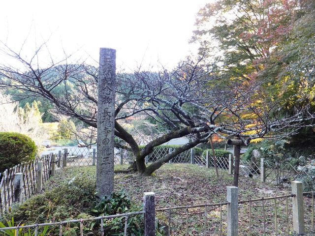 �t���ς͗����Ă��܂����A�����ȉ��t���Ă��܂����B_�������̗�����