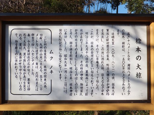 ڂ炳̖{̑僀N̓eʐ^1