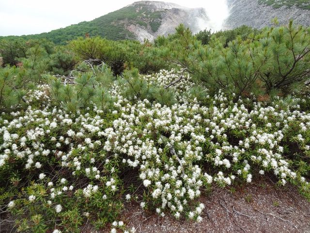 ܂낤̗R[̃G]C\ccWQ̓eʐ^2