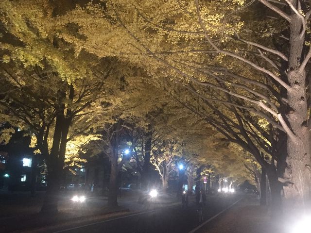 ���t�Ղł̃��C�g�A�b�v_�k��C�`���E����