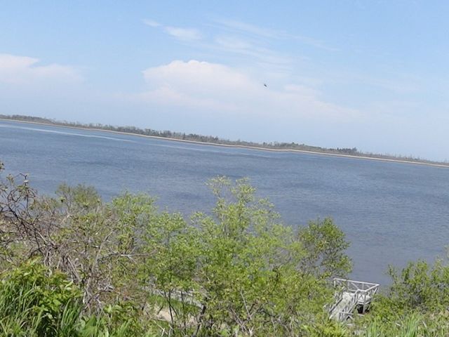 ��������̒���_���̉w �X�����S�S�˂ނ�