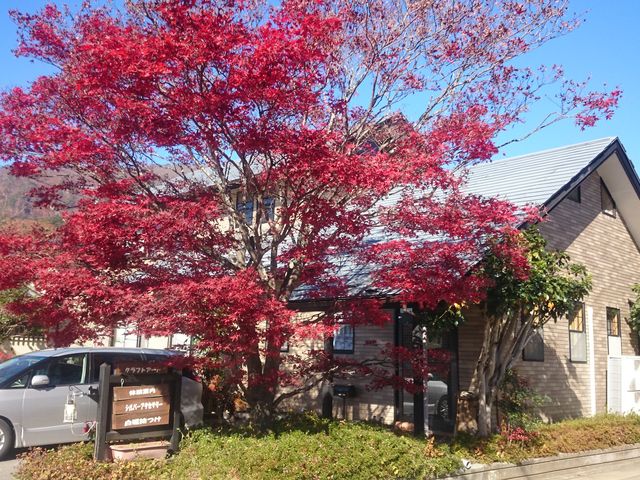 �O�ςł�_�A�g���G�@�A�[�g