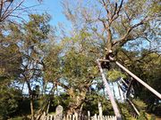 ڂ炳̖{̑僀N̓eʐ^3