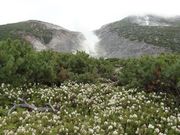 ܂낤̗R[̃G]C\ccWQ̓eʐ^1