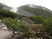 ܂낤̗R[̃G]C\ccWQ̓eʐ^3