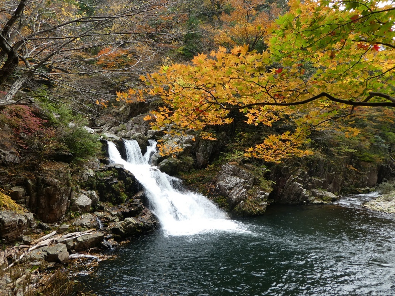 安芸 太田 町
