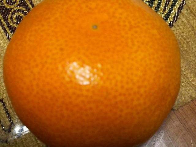 �݂���_�I�O�䎛�K�[�f���z�e���͂₵