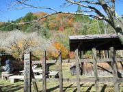 ߋT|~̈ΓȔ؉ԏՂ̓eʐ^1