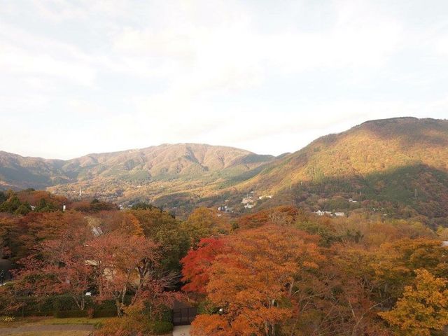 ���������Y��_�����̐X���p��