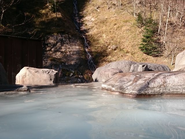 �����I�V���C����̌i�F�B�����ɏ����ȑꂪ����Ă܂��B_���m���i���S�{����j