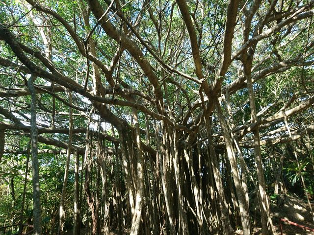 KW}_ASMUI Spiritual Hikes