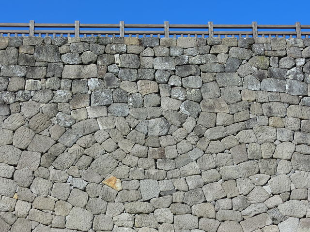 ʐΊ_B~SɂȂĂ_ɒځB_