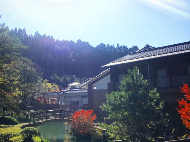 CȊOɂAXgEyHR[i[EnY؂Ȃǂ̔̔BȂ瓹̉ŵ悤I_x