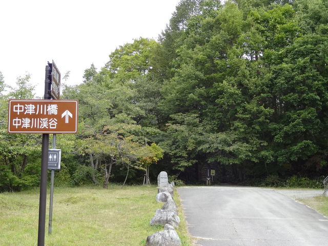 �k�J�ւ̎U���H�͂��̉�_���Ð�k�J