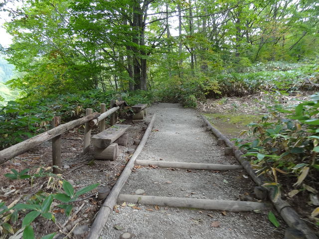 �ŏ��͊ɂ���_���Ð�k�J