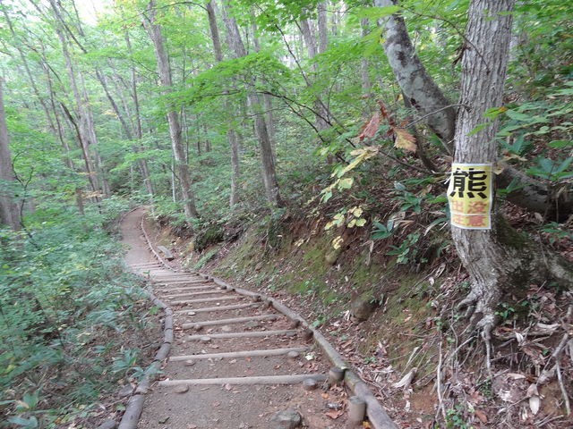 񂾂X΂Ɂ@Fɂ_ÐkJ