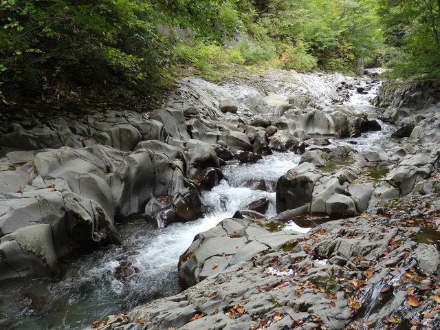 �����t�������ς��̌k��_���Ð�k�J