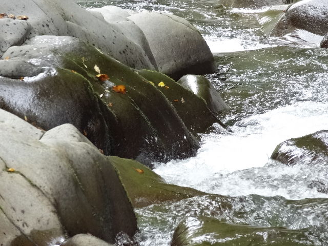 �����t���A�N�Z���g�ɂȂ�܂�_���Ð�k�J