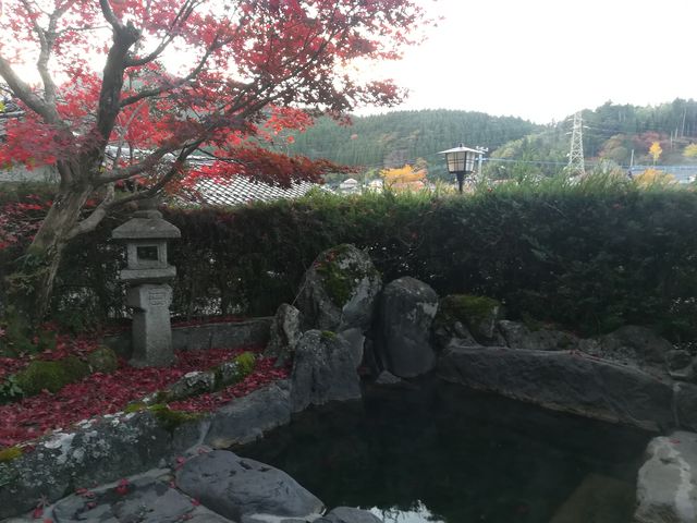 �I�V���C_���؉���